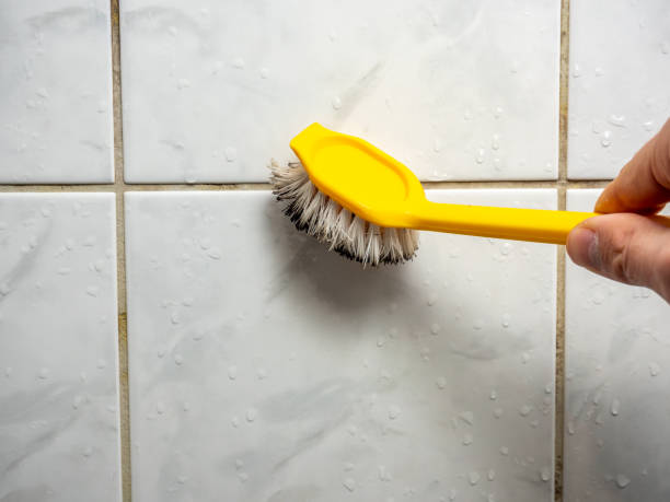 Best Toxic Mold Removal  in Pleak, TX