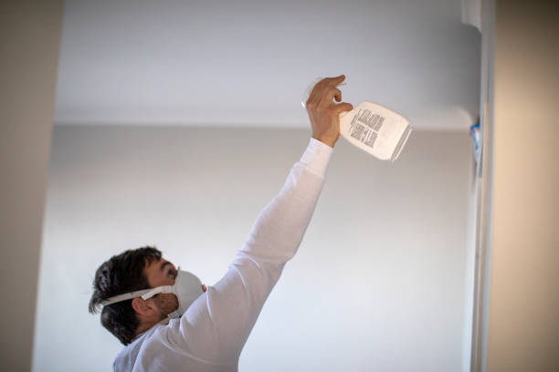 Best Mold Damage Repair  in Pleak, TX